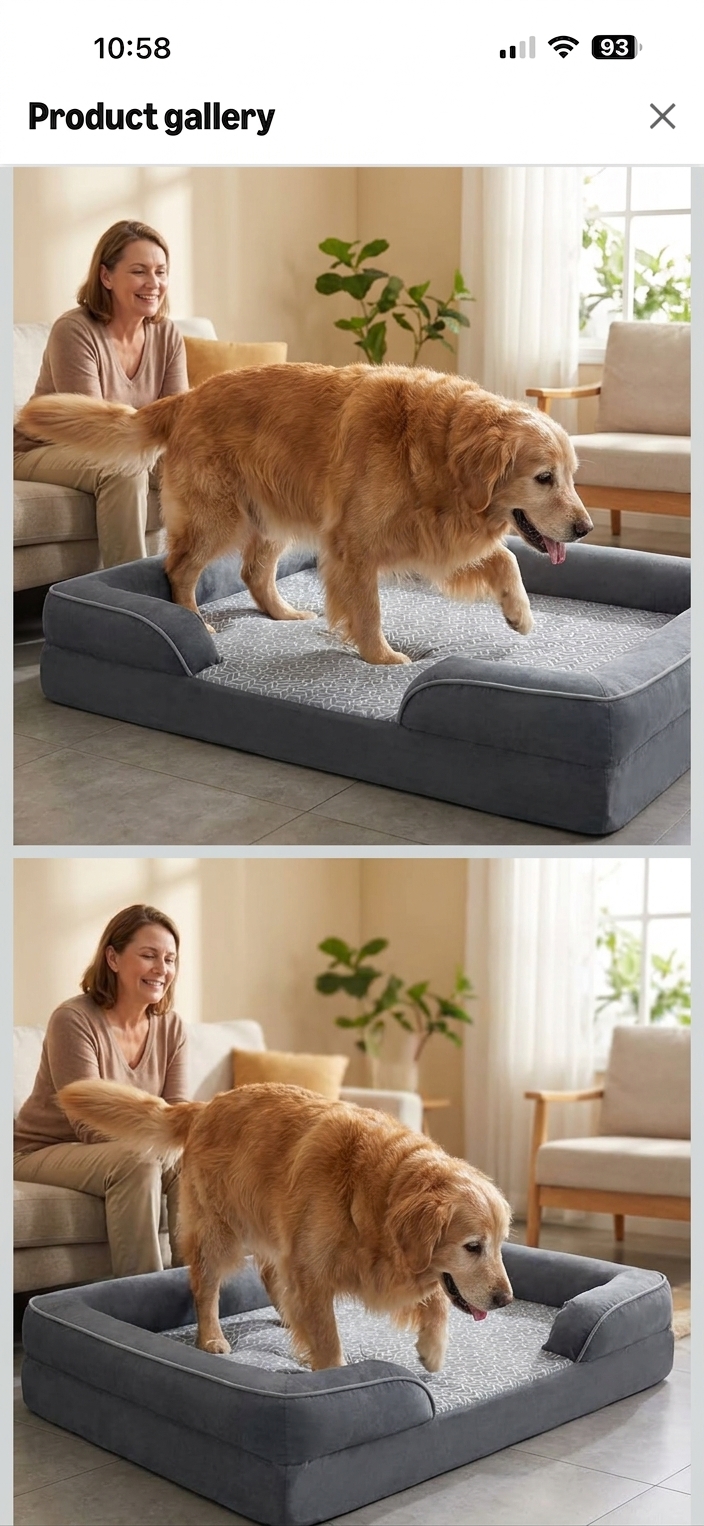Your Dog Steps In & Instantly Cools
